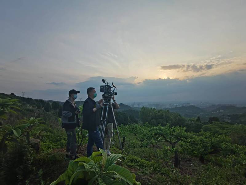 创意破圈！西山区电商产品宣传视频用故事化叙事引爆流量