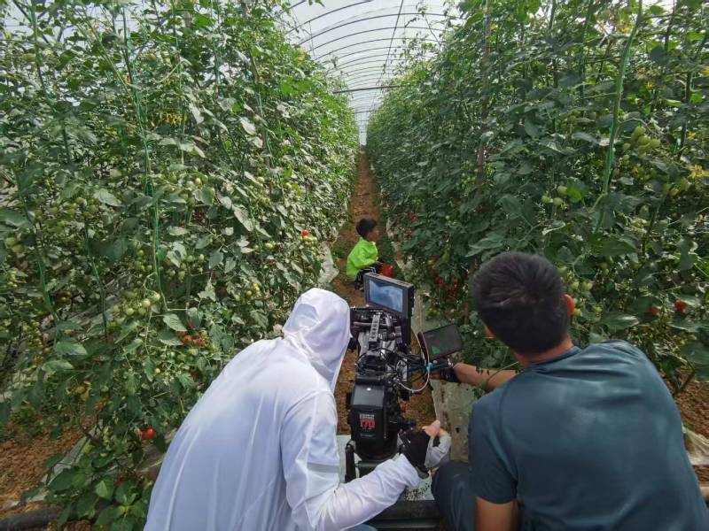 西山区产品宣传视频拍摄公司进阶指南，助力品牌抢占传播高地